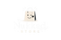 The Nukkad Store - Home